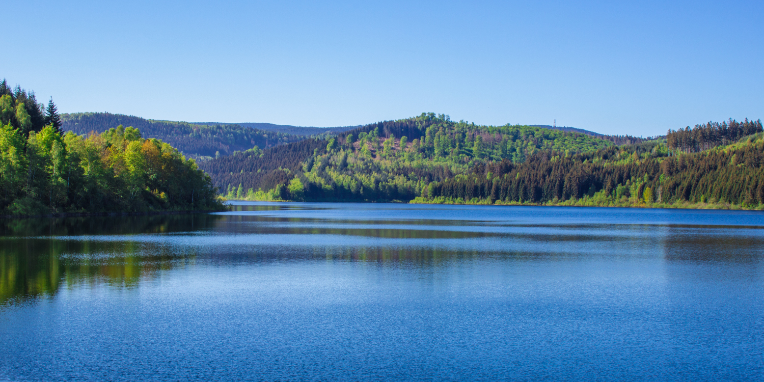 Angeln_in_Sachsen-Anhalt