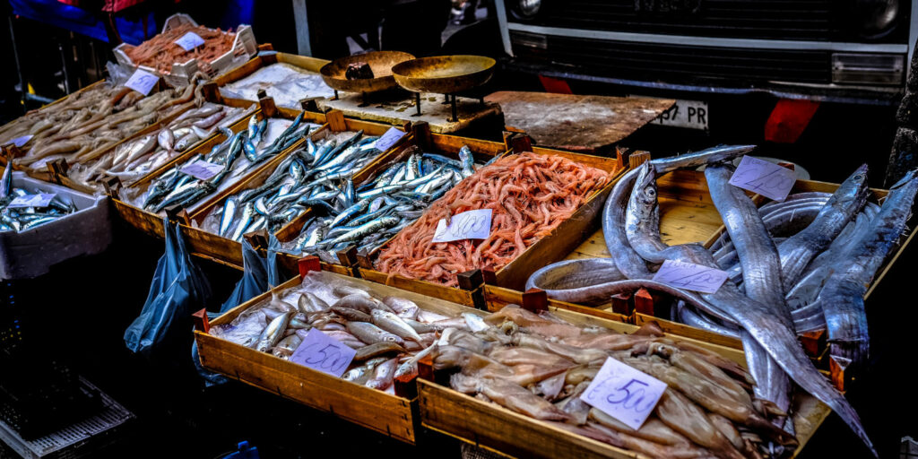 Fische_in_Portugal