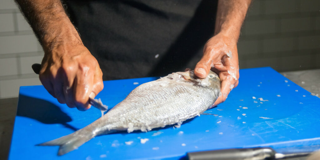 Fischentschupper_kaufen