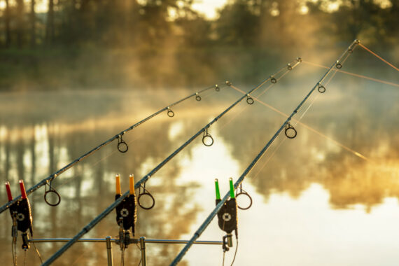 WESIEVYA Angelalarm Edelstahl - Lauter Bissanzeiger Für Karpfenangeln & Nachtfischen