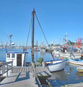 angeln-fischen-Fehmarn